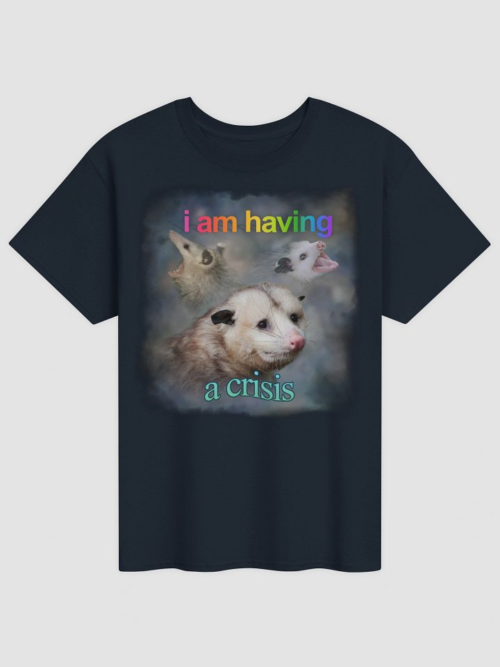 I am having a crisis possum T-shirt product image (25)