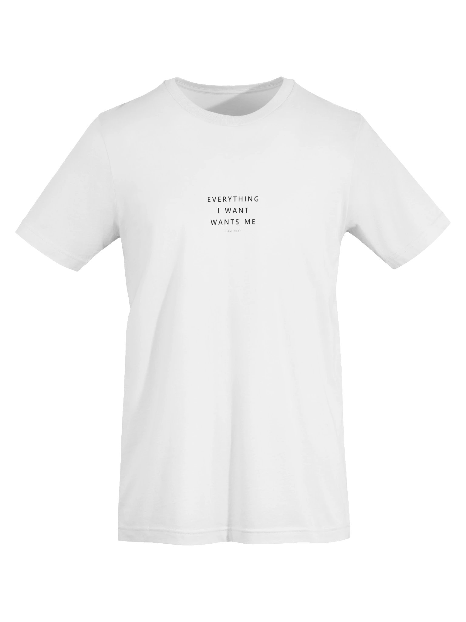 Everything I Want Wants Me Tee product image (25)