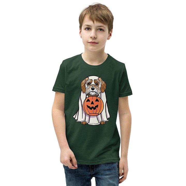 Halloween Havanese(Brown 2) Youth T-Shirt product image (1)