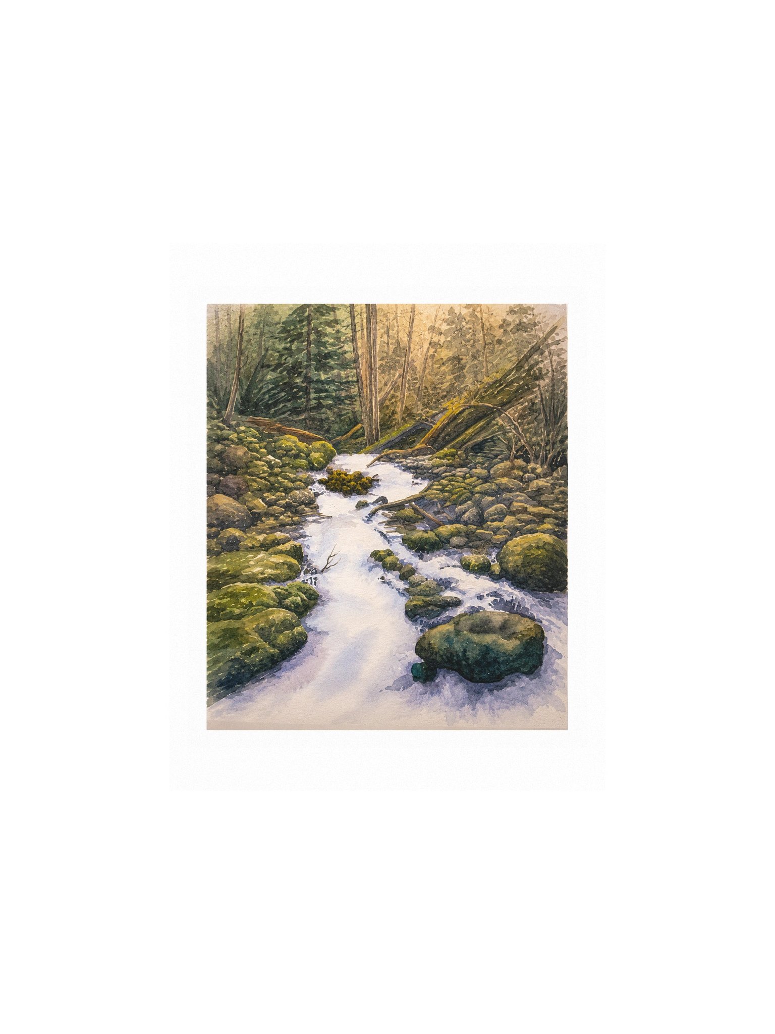 Forest Creek product image (1)