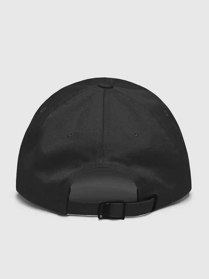 WILLOWISP Intern Ball Cap product image (2)