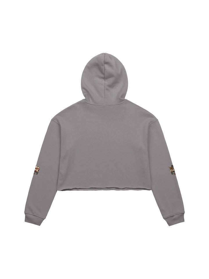 Team K Texas Crop Hoodie product image (2)
