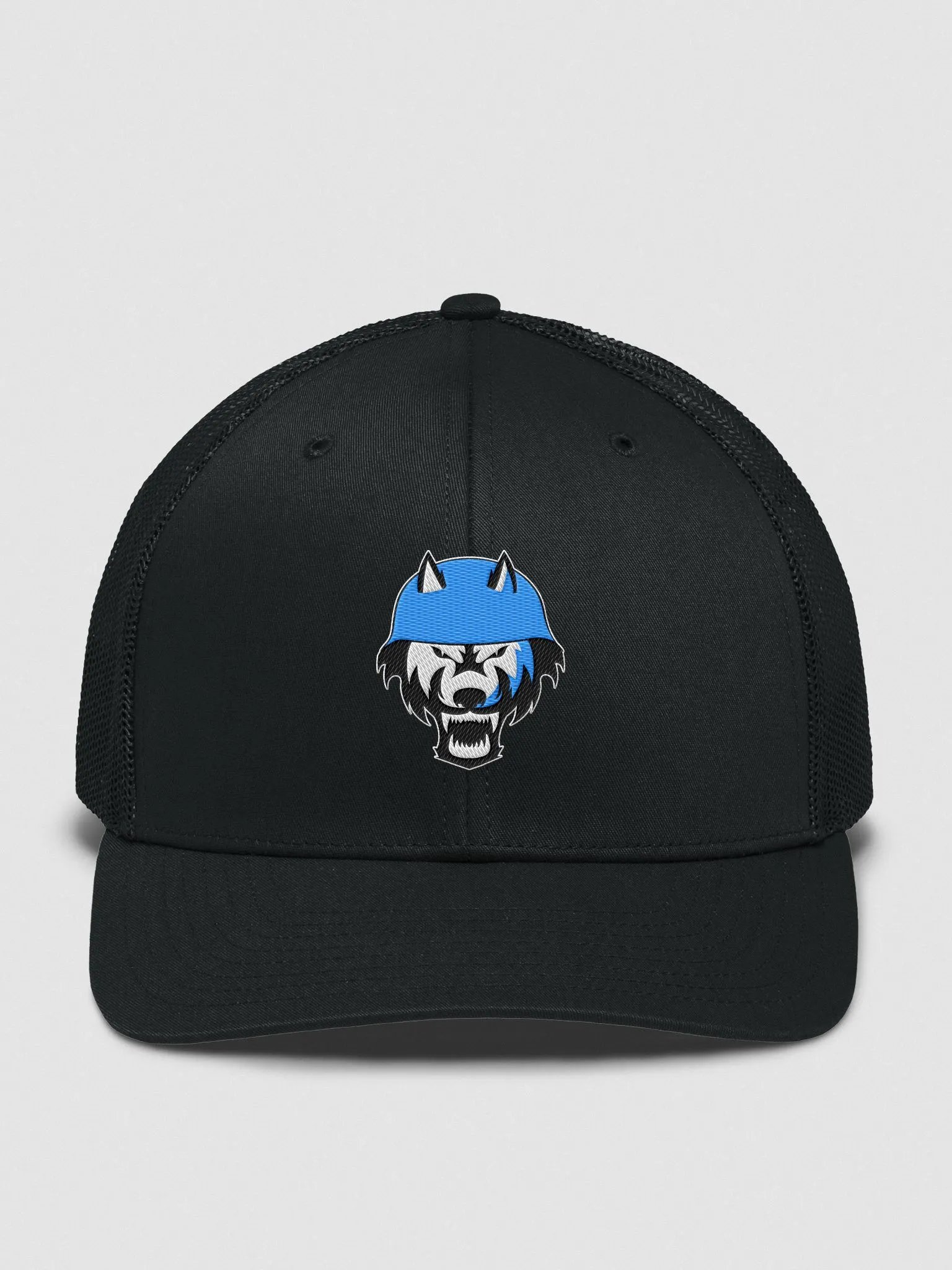 Dire Nation Logo - Richardson 112 Hat product image (1)