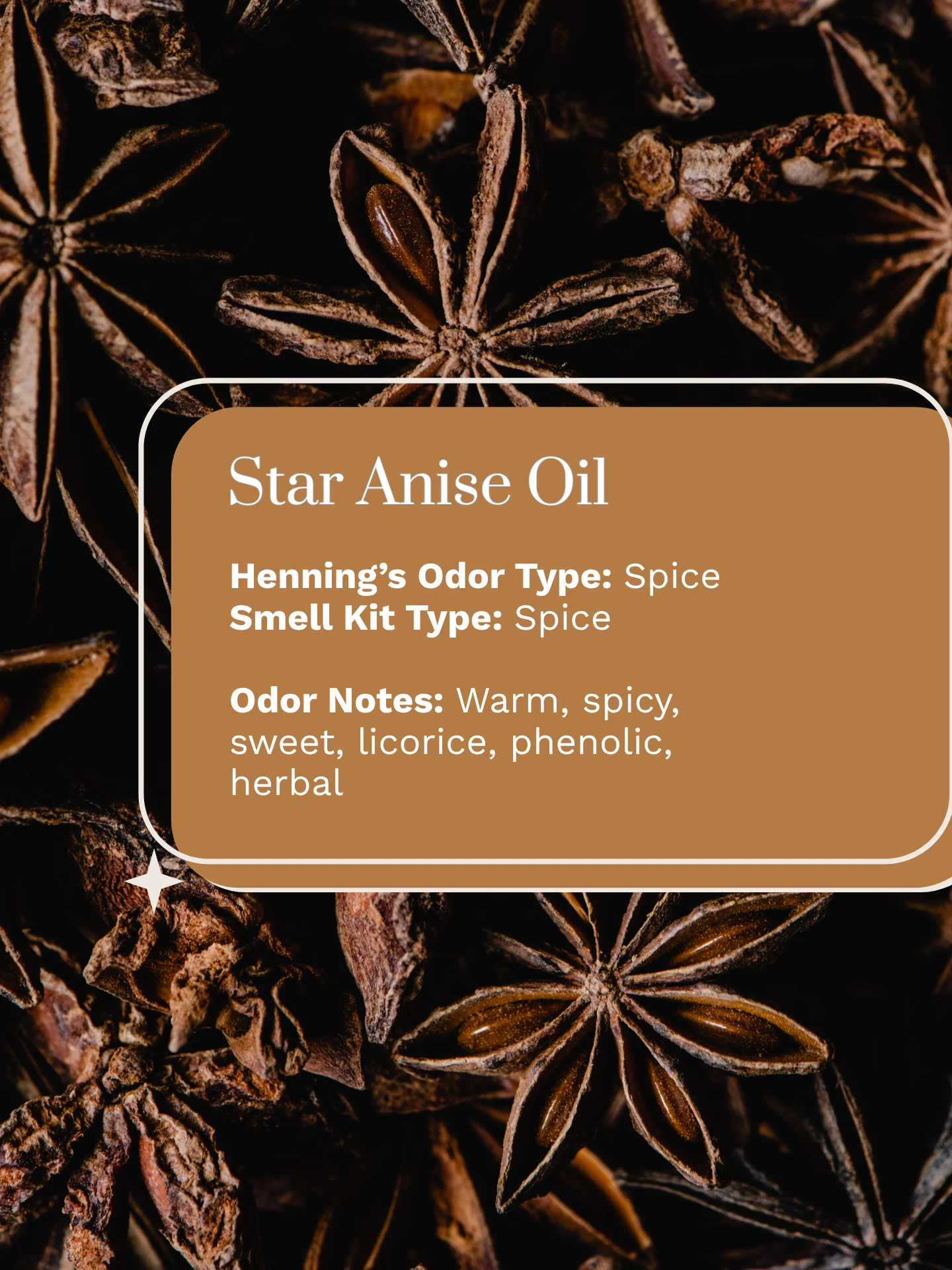 Olfaria Smell Training Kit | Set 1 | 5 Single-Note Essential Oils | Olfactory Training / Smell Loss product image (5)