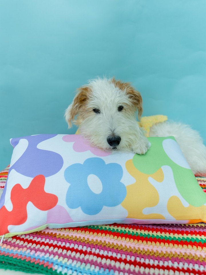 Colorful Duo Pillow product image (2)