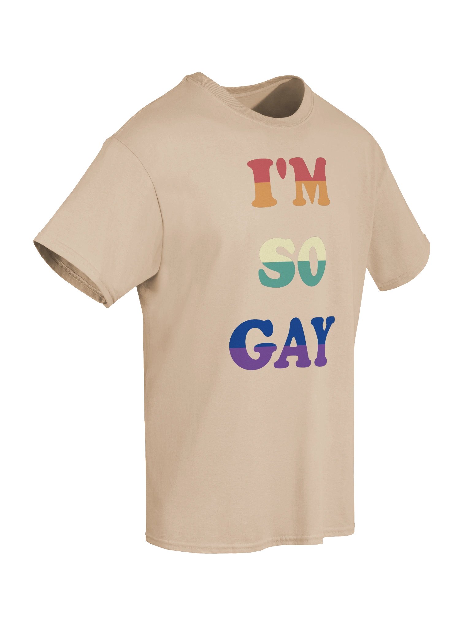 I'm So Gay product image (63)
