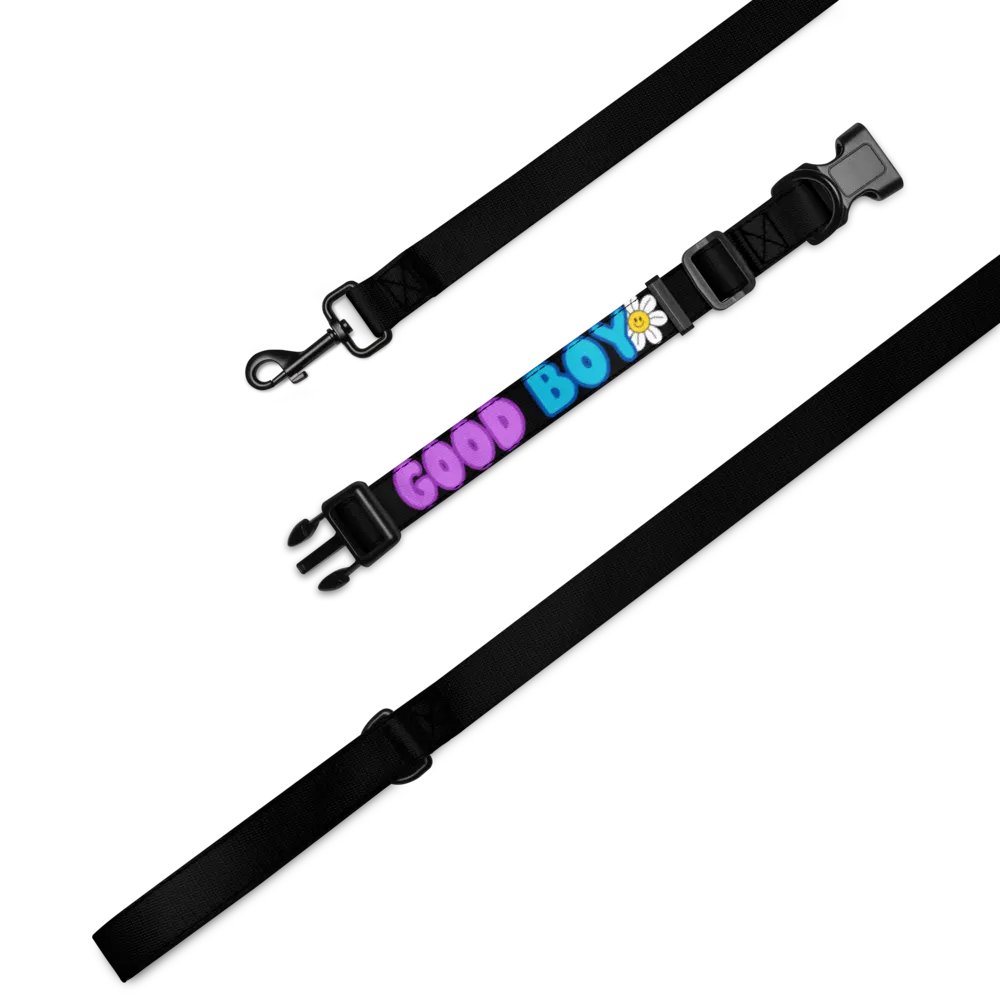 Good Boy Leash and Collar product image (1)