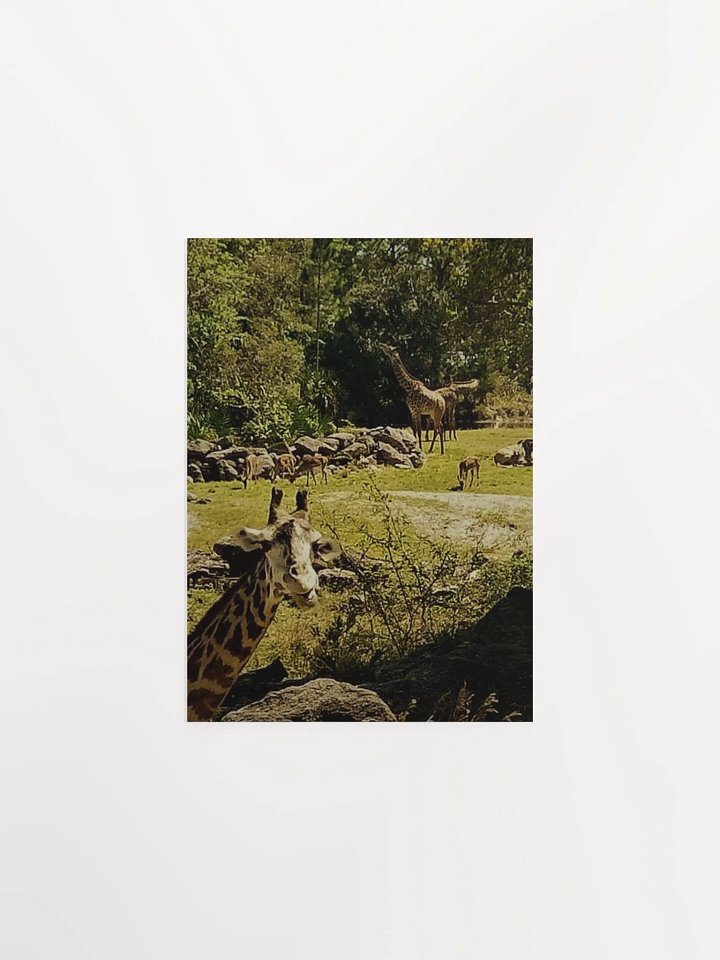 Giraffe Sanctuary product image (7)