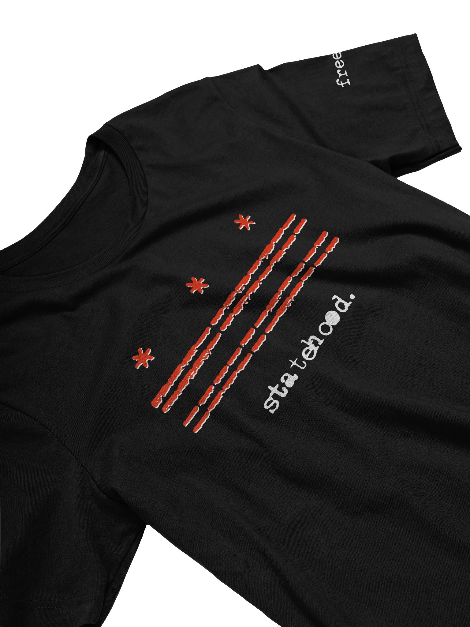 statehood tee product image (2)