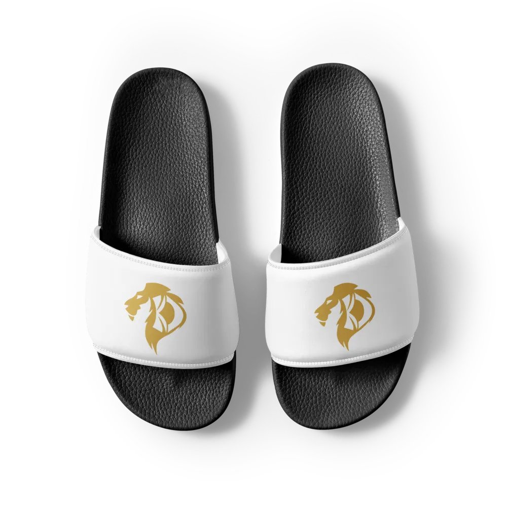 KD Hill Slides product image (8)