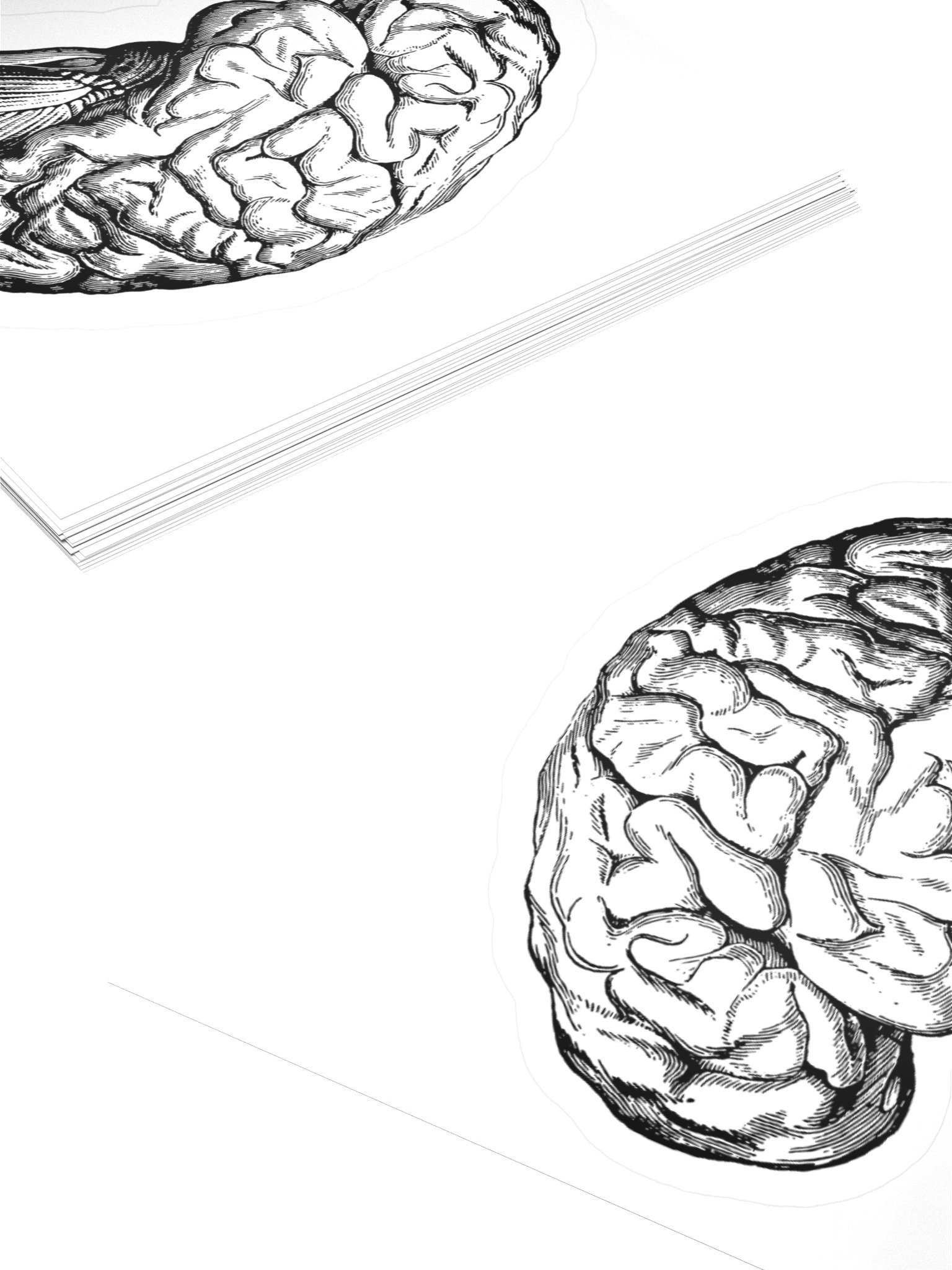Pegatina Oficial | La Carrera de Psicología en Podcast product image (4)