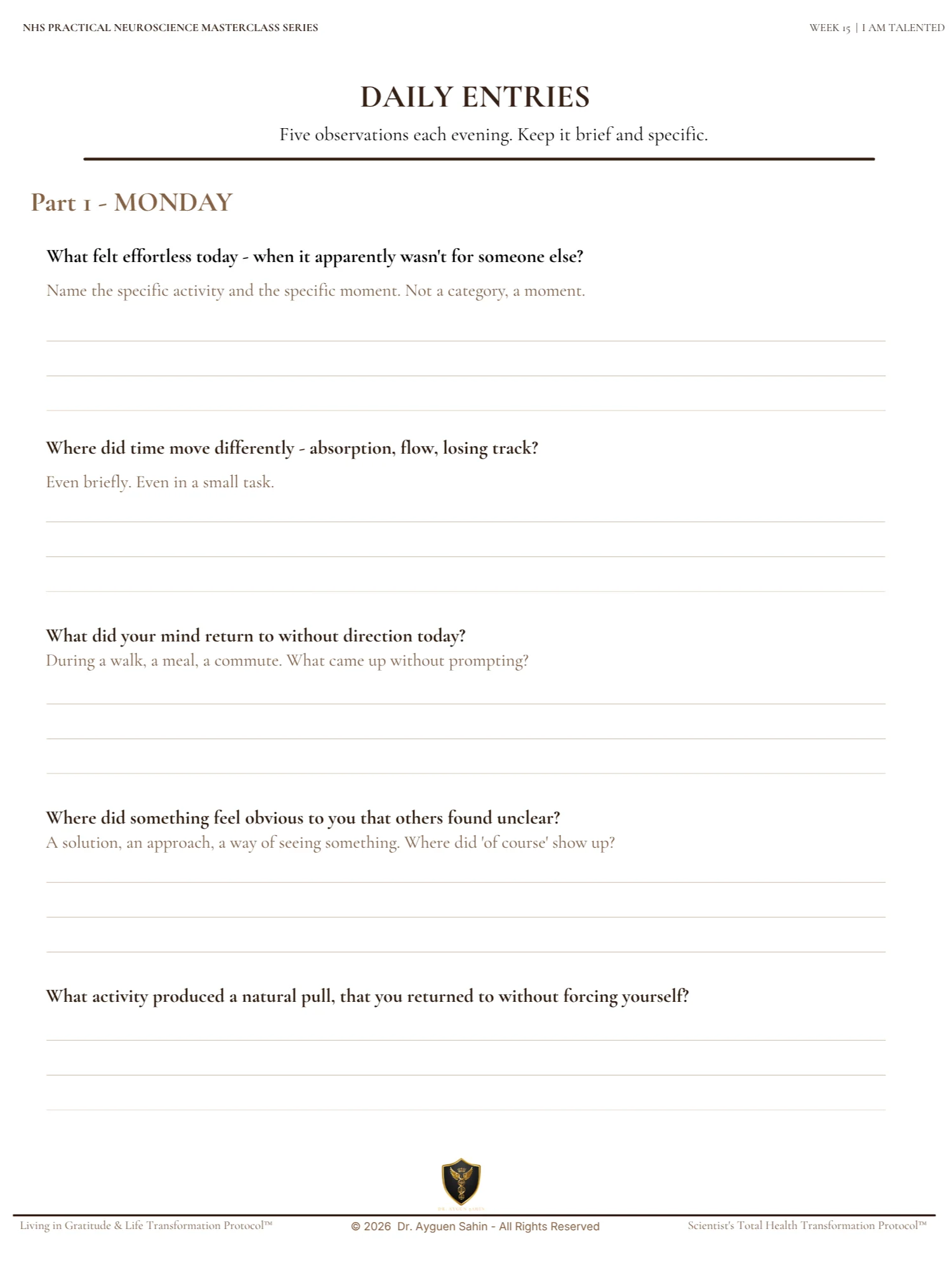 TALENT RECOGNITION AUDIT product image (4)