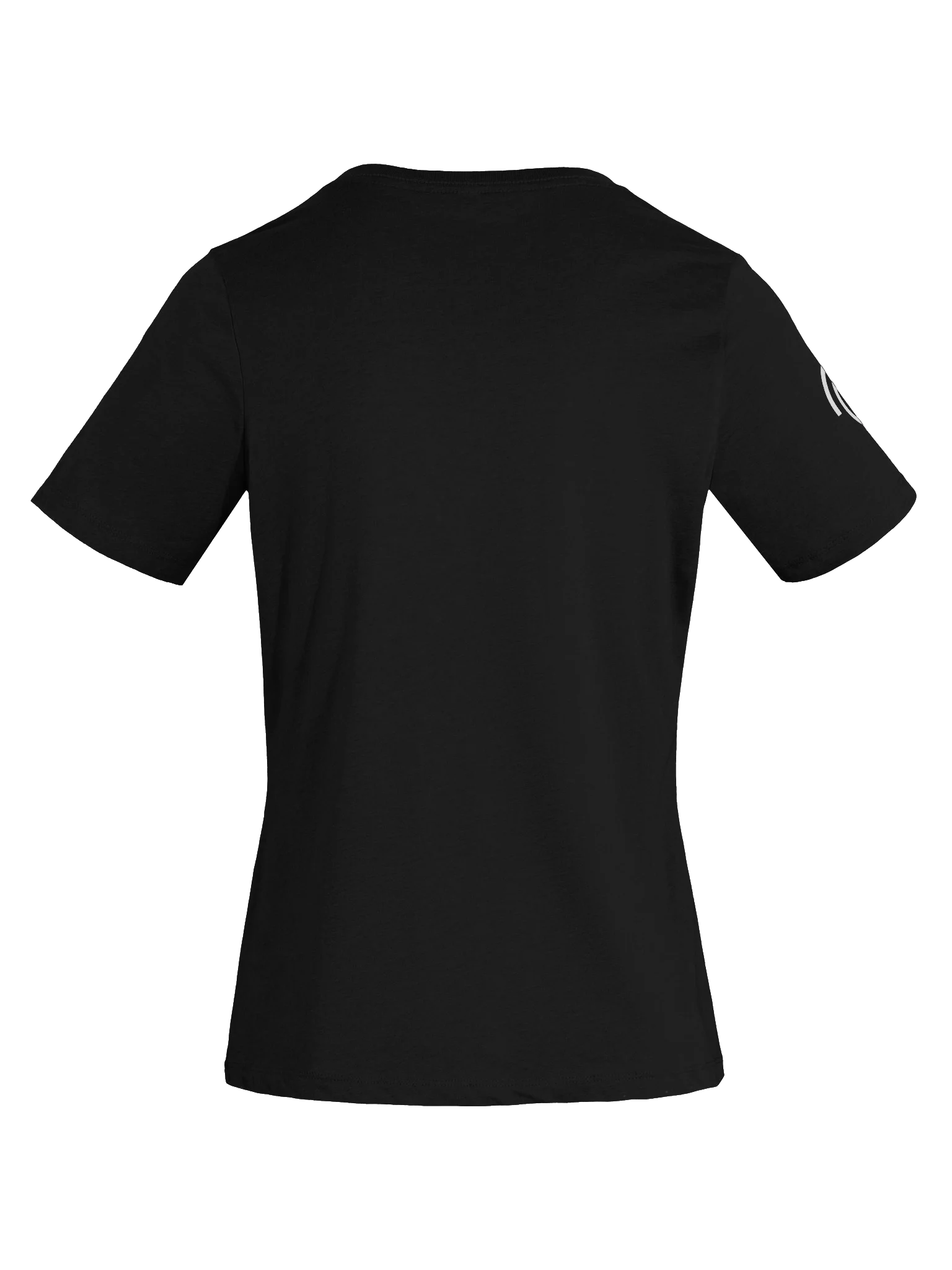 Ecamm Ladies' V-Neck Shirt product image (24)