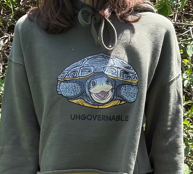 Ungovernable Terrapin