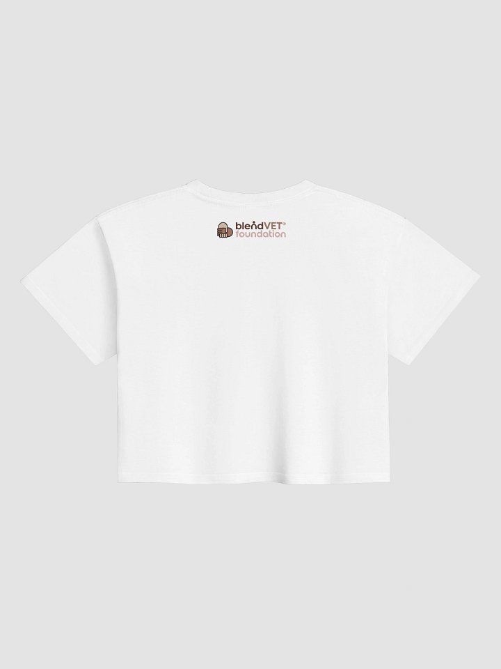 Rainbow - We Are Vet Med Crop Top product image (2)