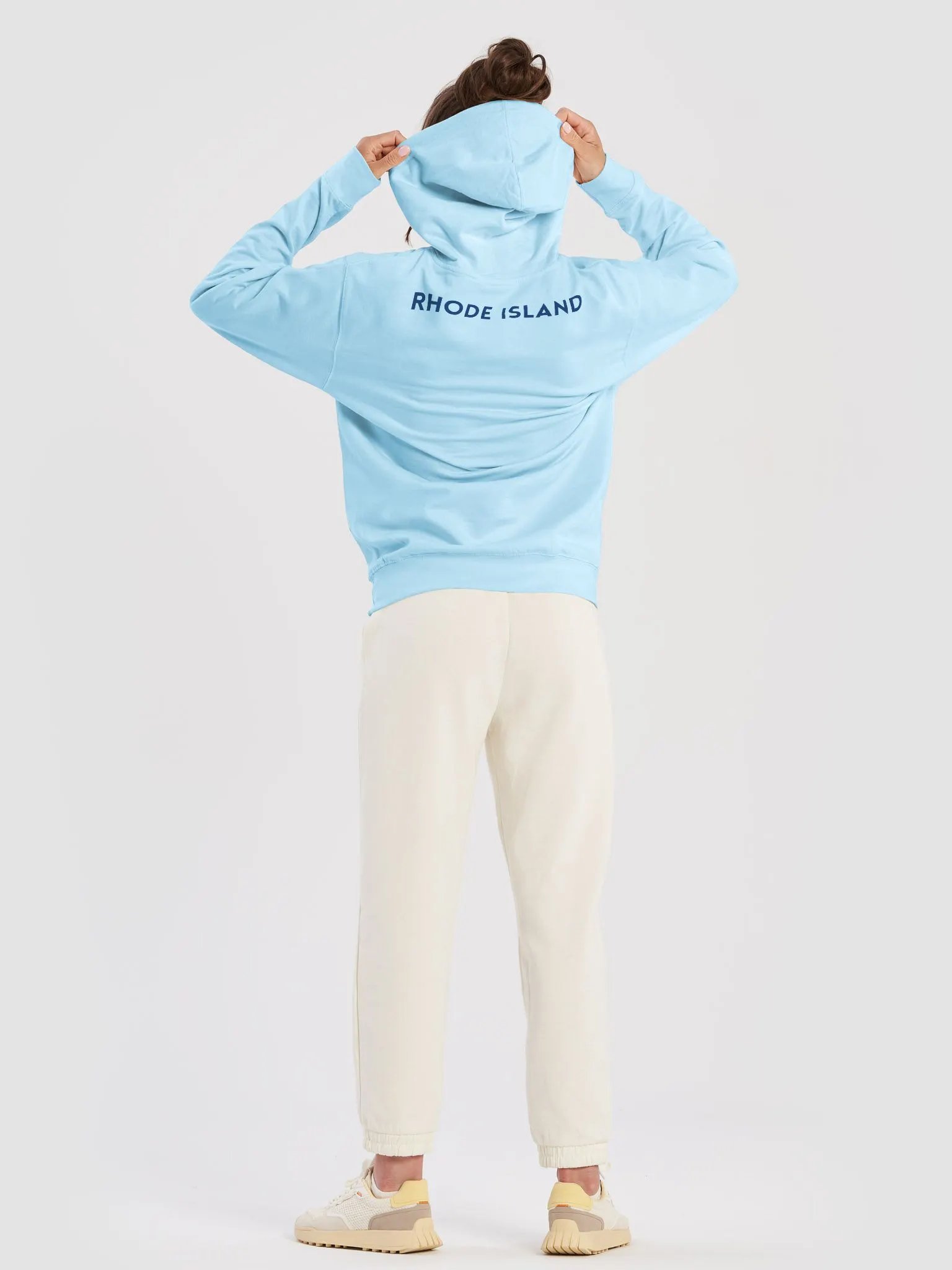 The Rhode Island Pineapple Story II (Heavyweight Fabric) product image (41)