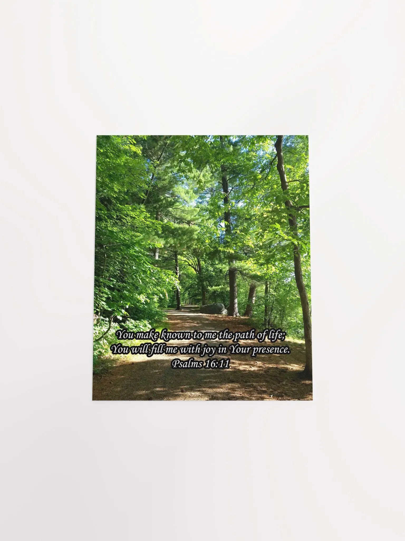 Path of Life - Print product image (4)