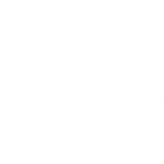 Most Worst