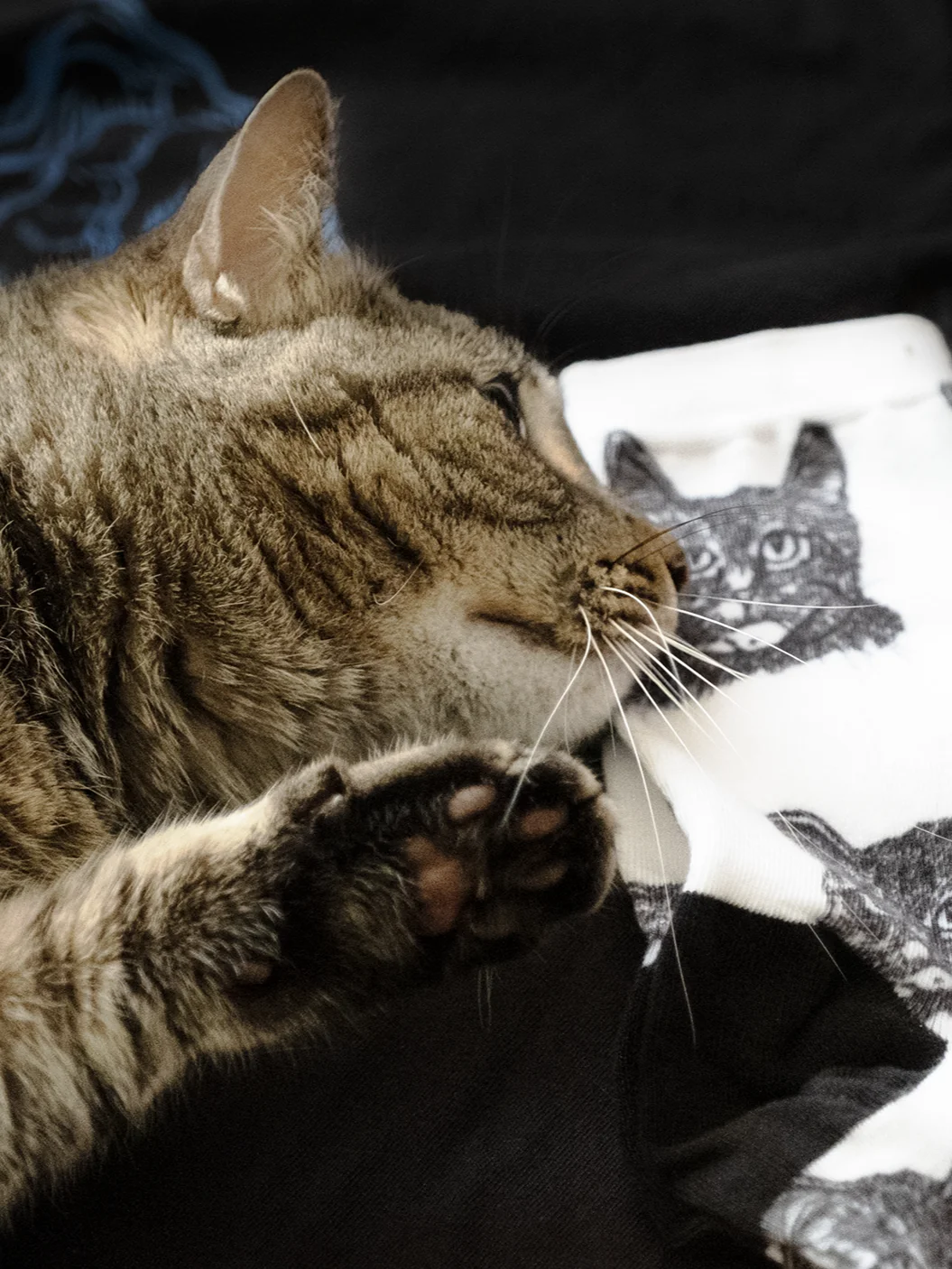 Tabby Cat Socks product image (5)