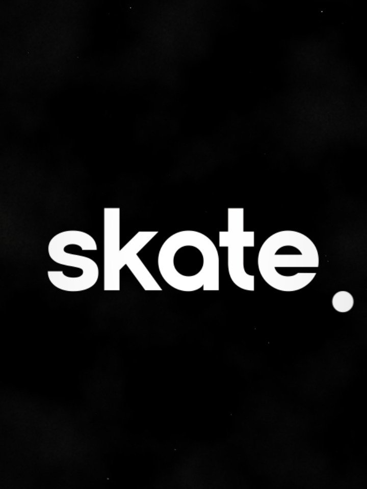 Skate x DaVinci Project File product image (1)