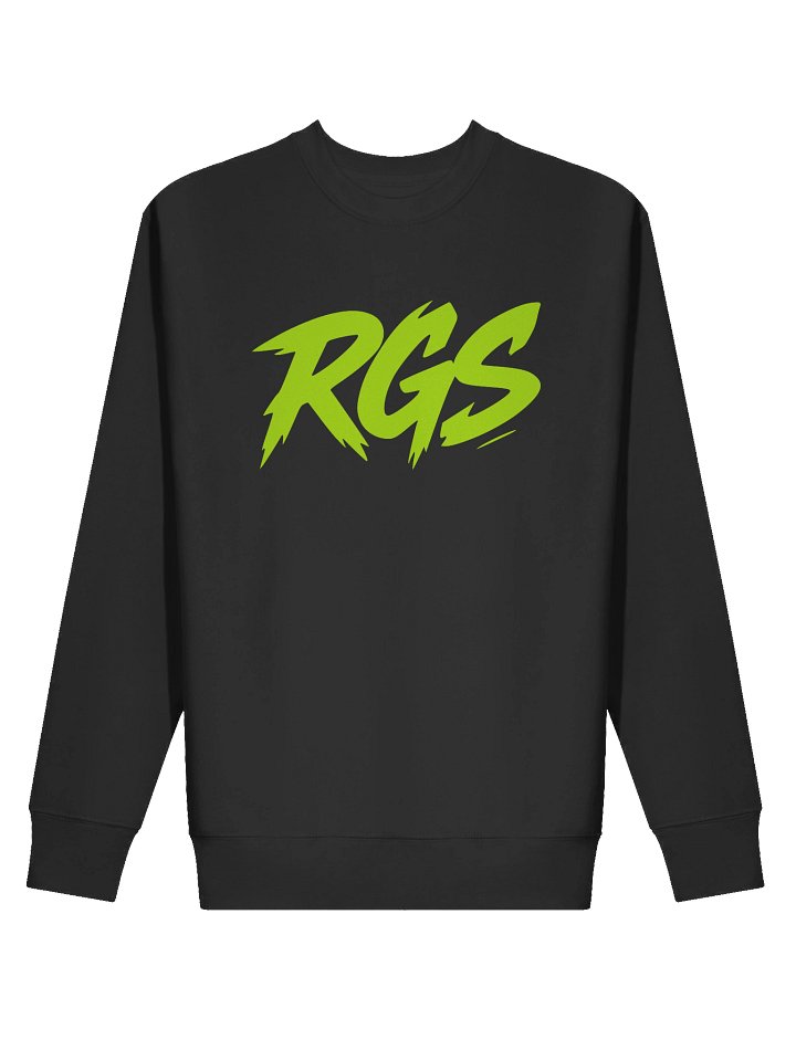 RGS Gamer Sweatshirt – Indie Spirit Pullover product image (2)