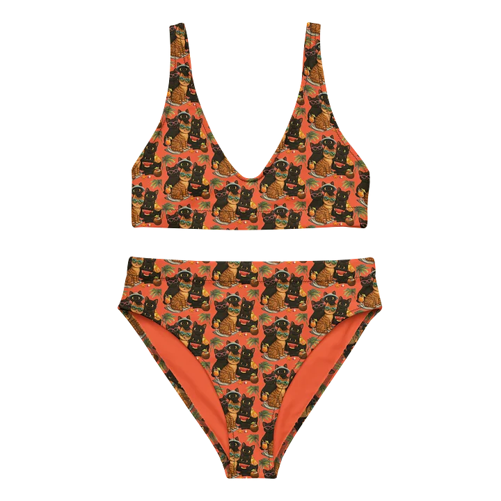 Cat brigade High-Waisted Bikini Set product image (1)