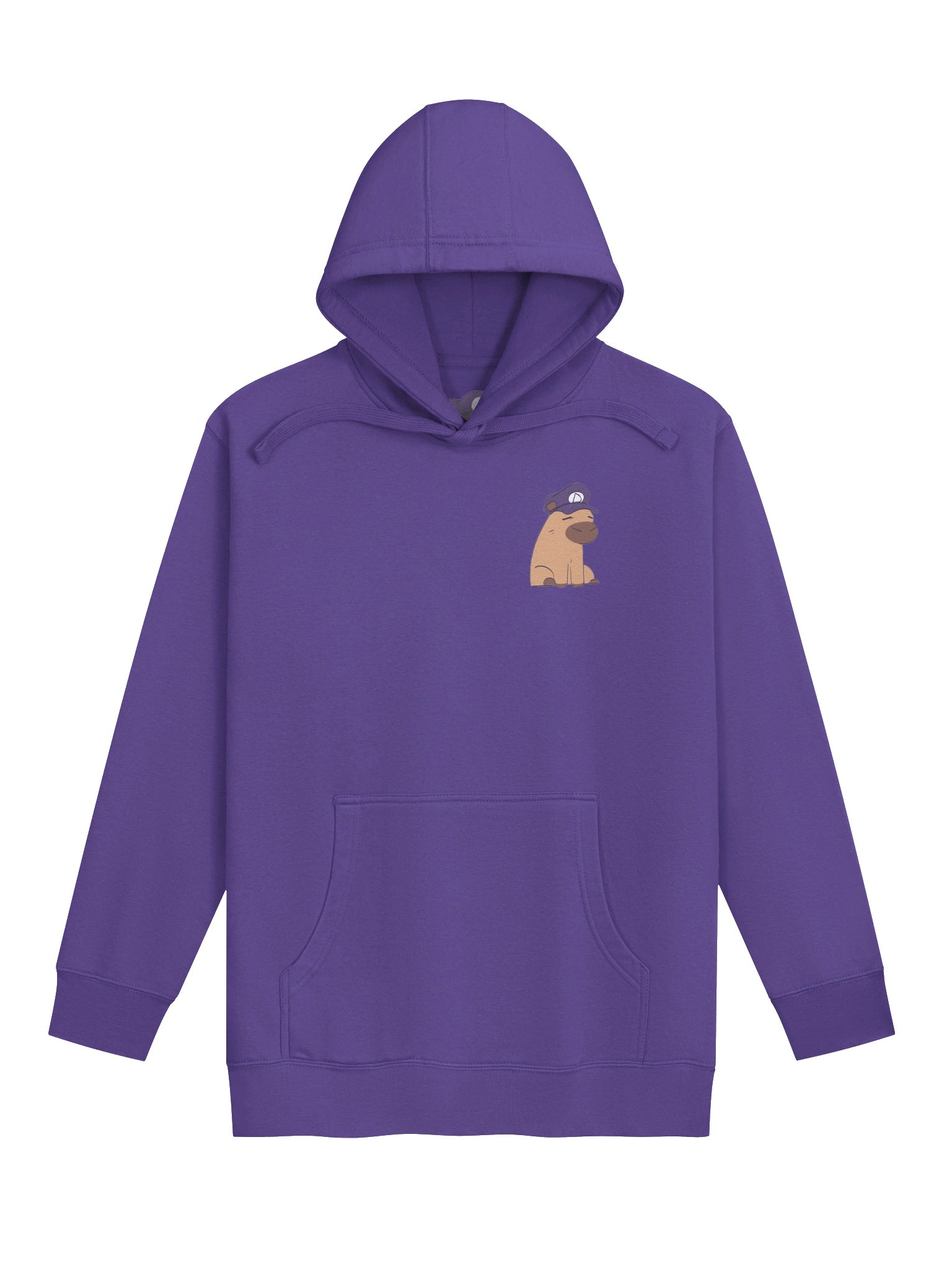 Dynamaestr0 Capy Hoodie (Printed) product image (1)