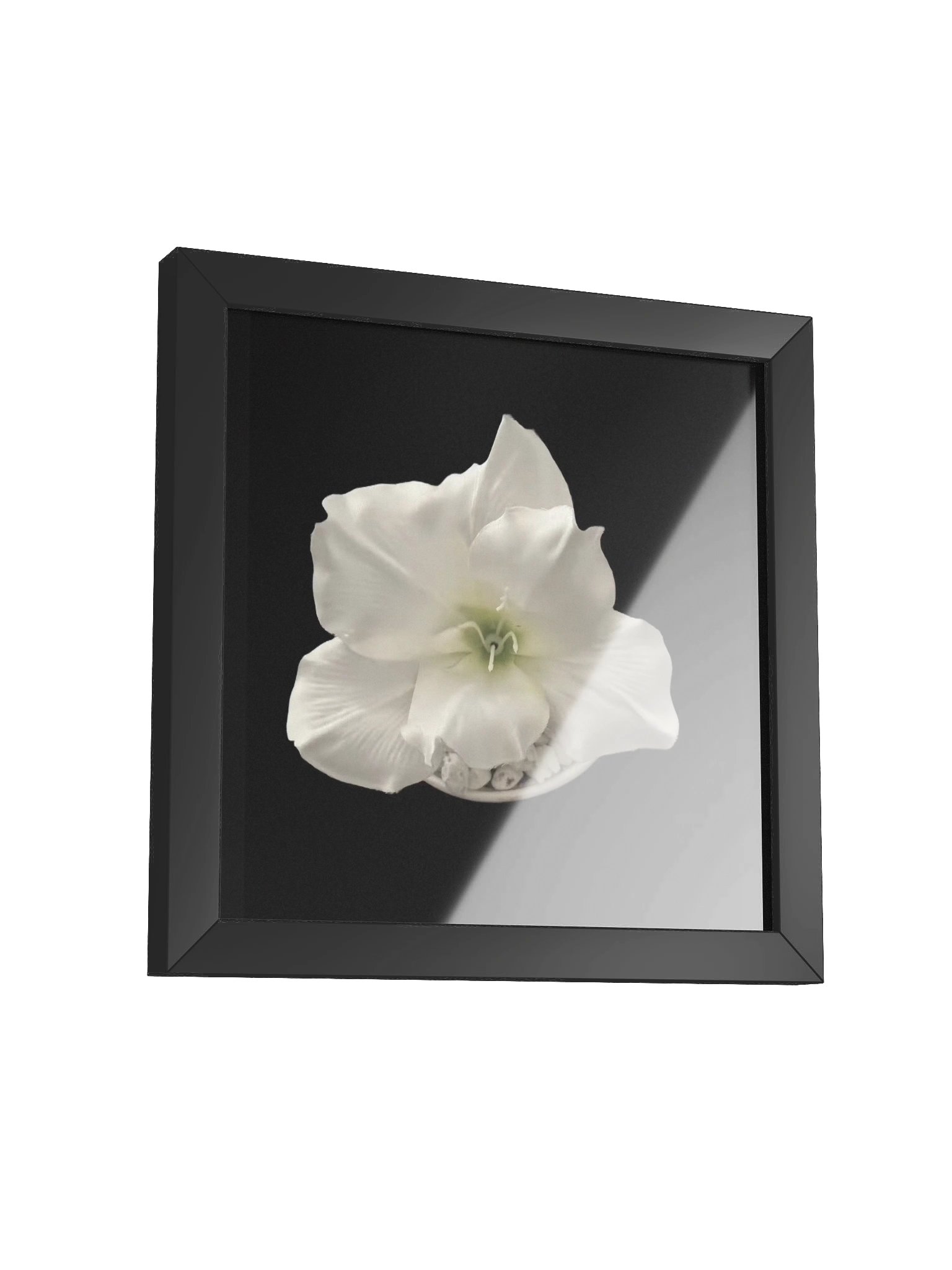 Purifying Flower product image (22)