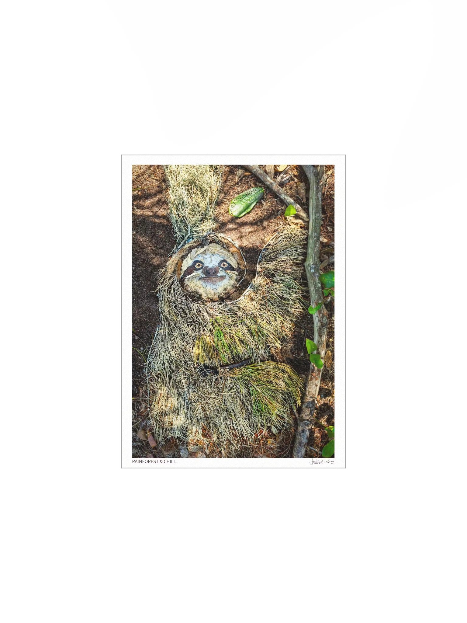 RAINFOREST & CHILL | Fine Art Print product image (2)