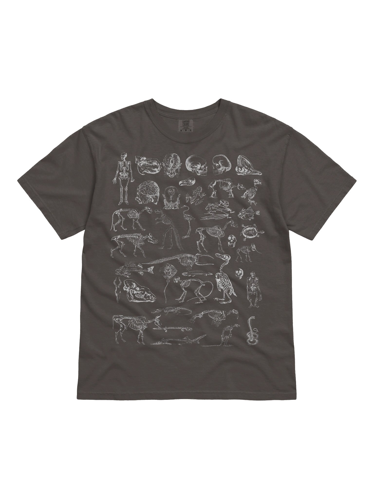 Dark Academia Skeletons Shirt – Vintage Anatomy & Animal Bones Graphic Tee product image (51)