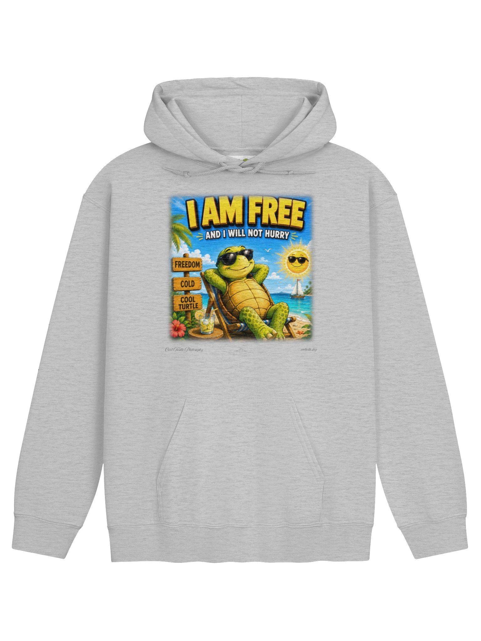Cool Turtle Freedom Hoodie product image (1)