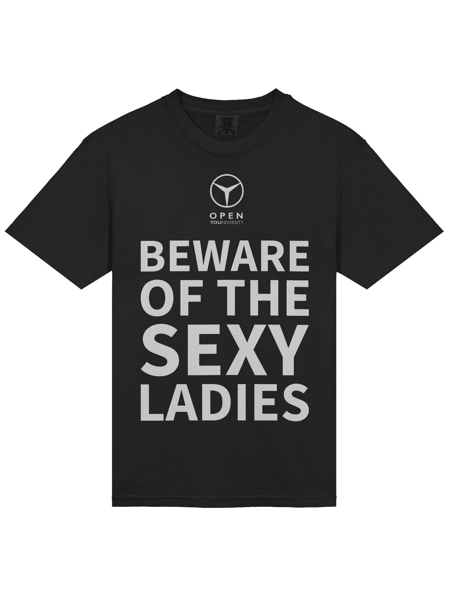 BEWARE OF THE SEXY LADIES product image (5)