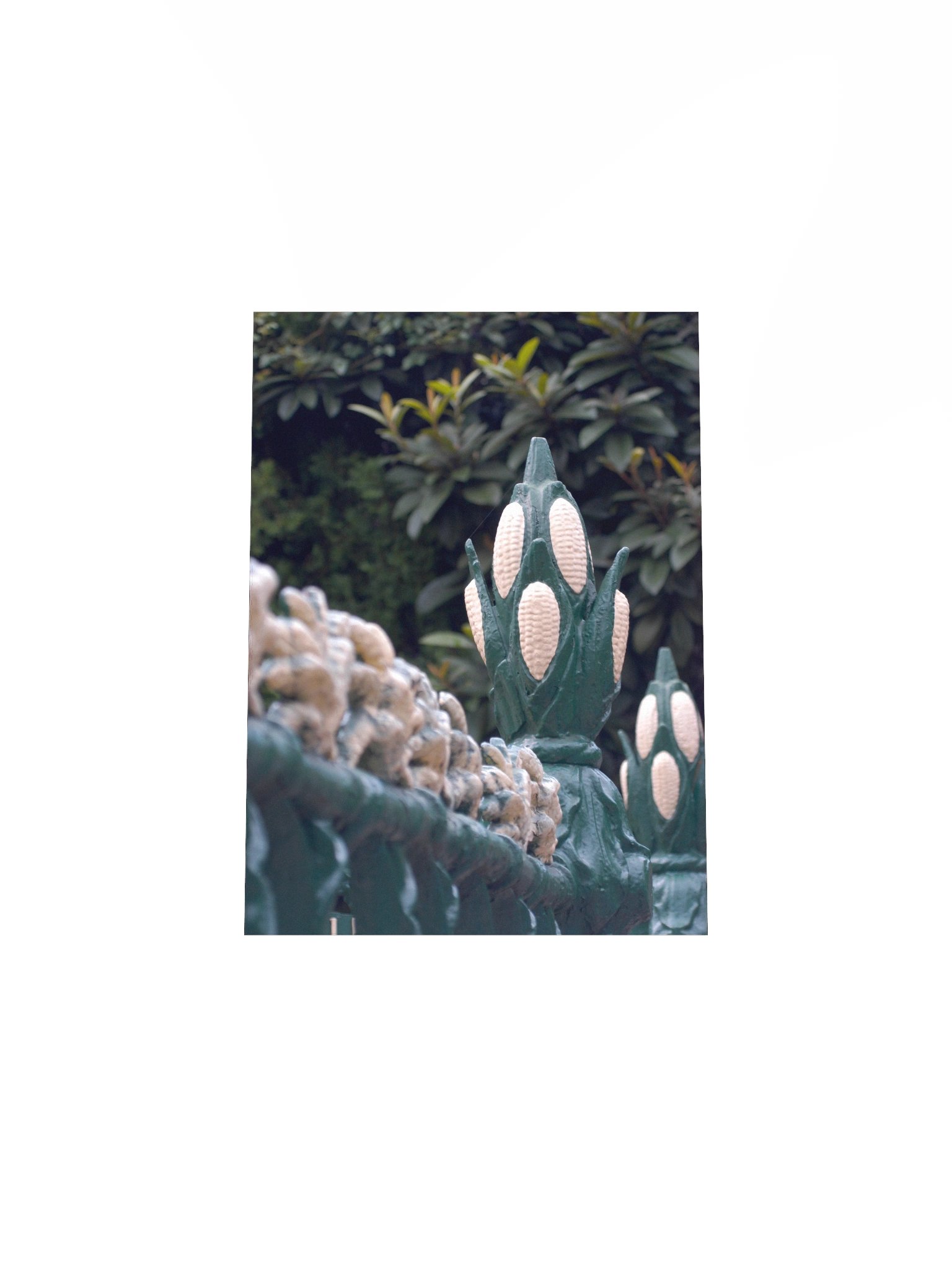 The Cornstalk Fence — New Orleans Art Print | The Indigo Hours | Casa de Karma Press product image (4)
