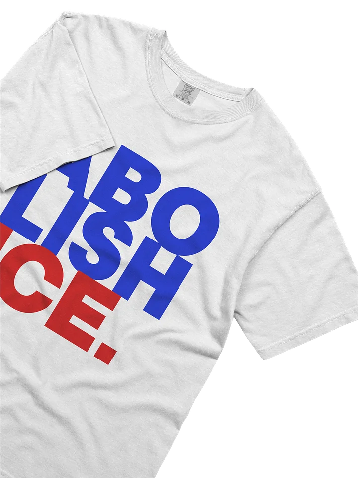 ABOLISH ICE product image (2)