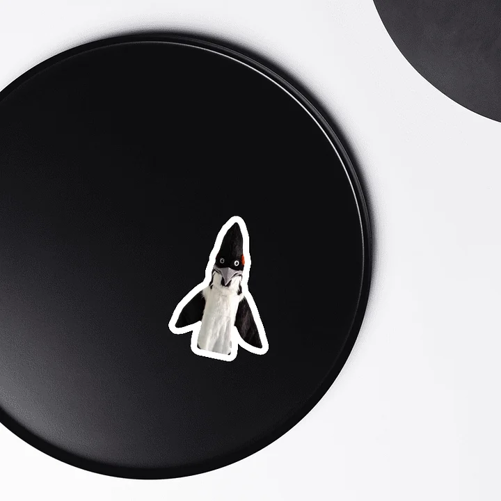 BIRD Magnet product image (1)
