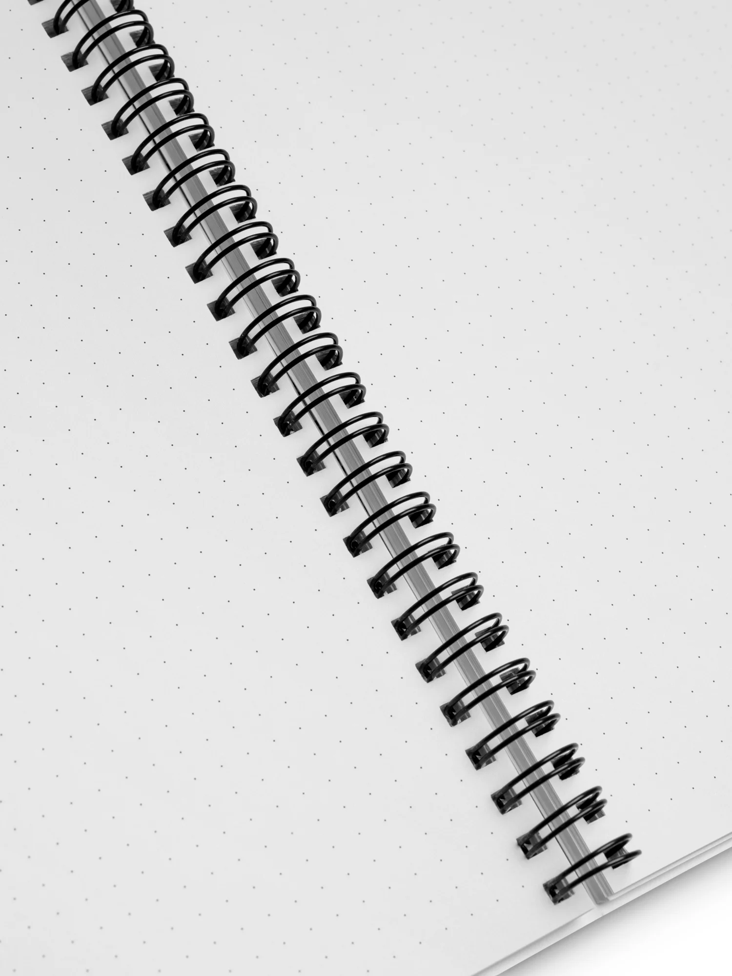 Bananapalooza Notebook product image (3)