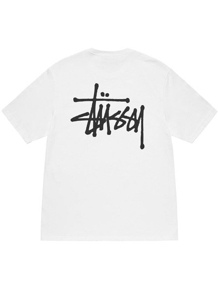 BASIC STÜSSY PIGMENT DYED LS TEE product image (1)