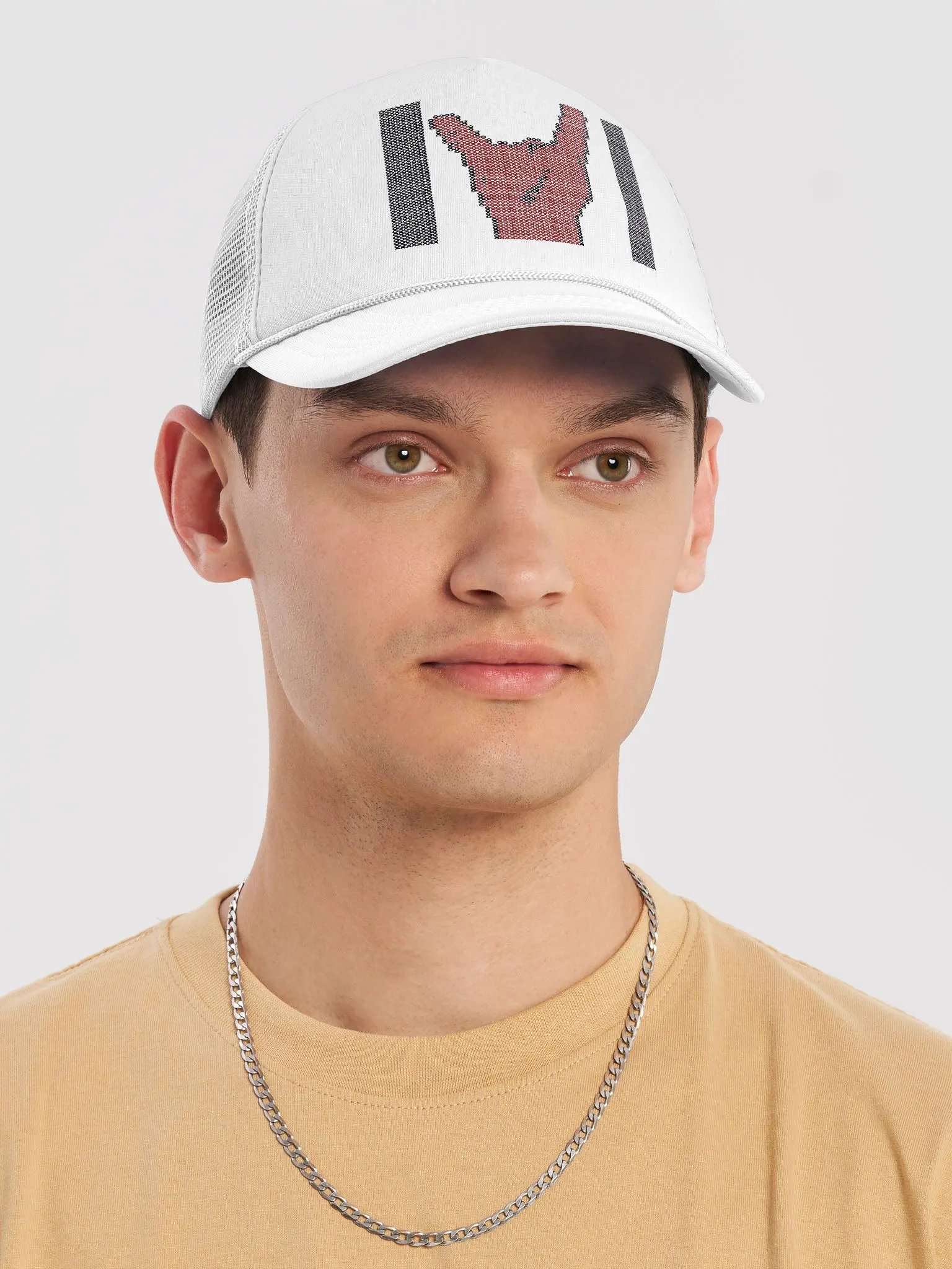 TDI Logo 2 Hat product image (5)