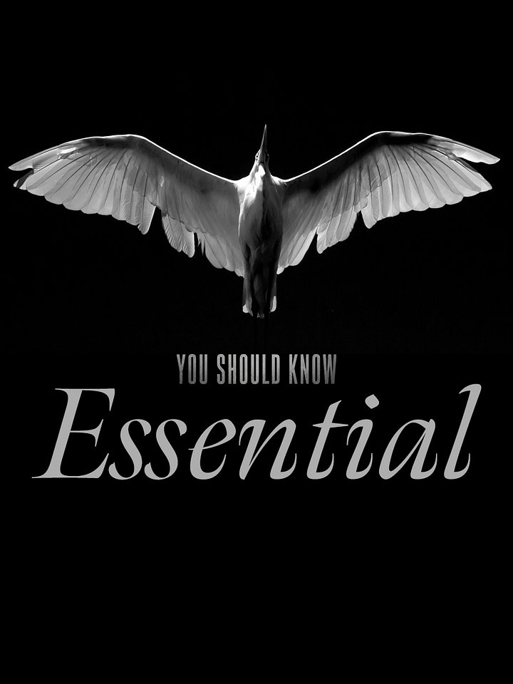 YOU SHOULD KNOW: ESSENTIAL  product image (2)