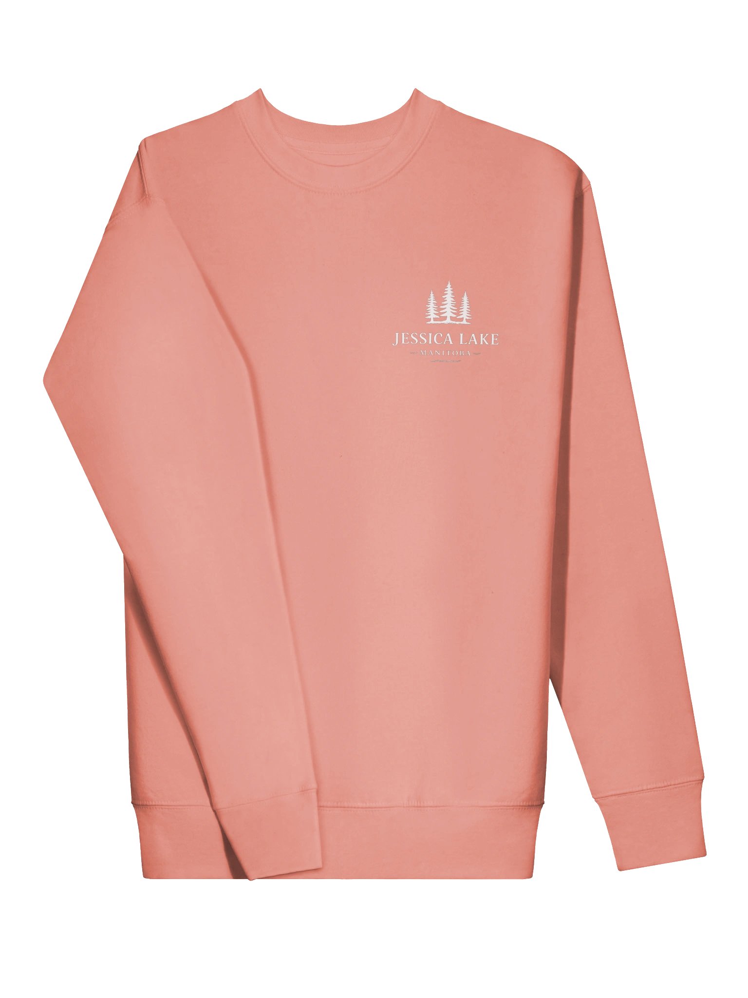 Jessica Lake Manitoba Pine Logo Sweatshirt product image (45)