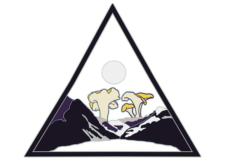 Midnight Mushrooms Tshirt product image (2)