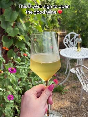 Open the good wine. You earned it! 🥂 #gardentok #winetok #winelover #wine #happyhour 