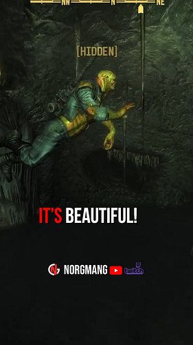 Look at he swim.