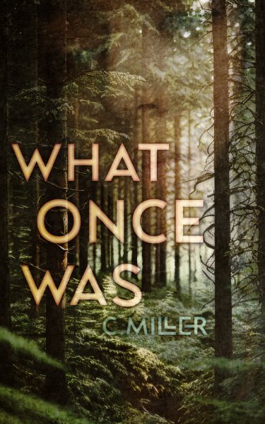 What Once Was (From the Ashes, #1) product image (1)