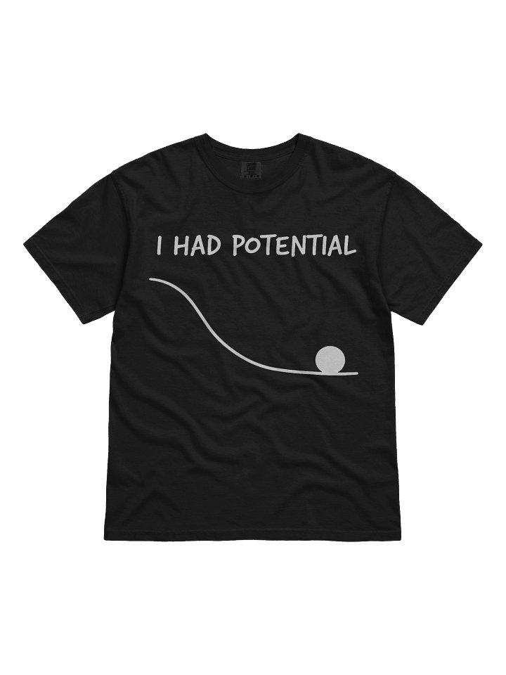 Comfort Colors® I Had Potential T-Shirt, Funny Quote Shirt, Minimalist Graphic Tee, Sarcastic Humor Shirt, Aesthetic Tee product image (2)