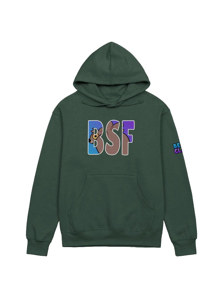 BSF Hoodie - Dark product image (1)