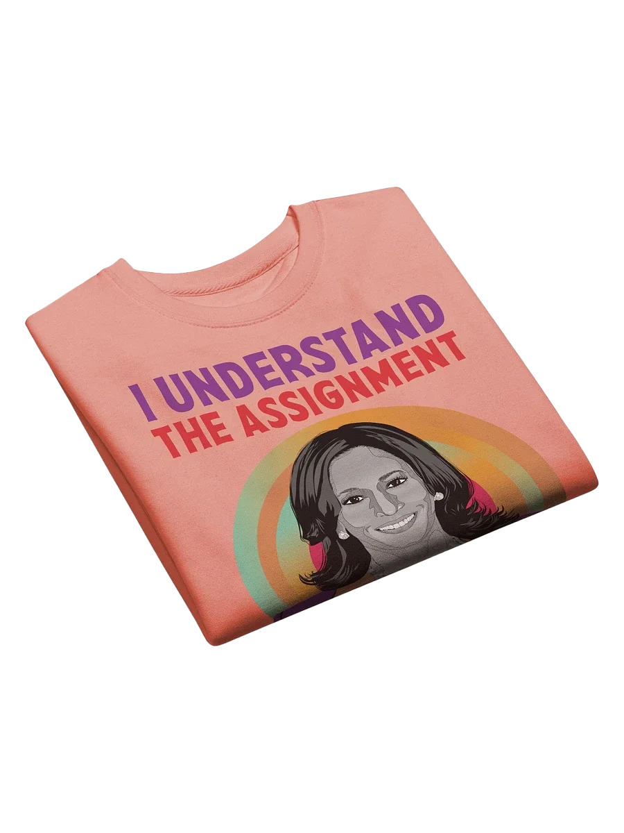 I Understand the Assignment Kamala Harris 2024 Election Day Sweatshirt product image (3)