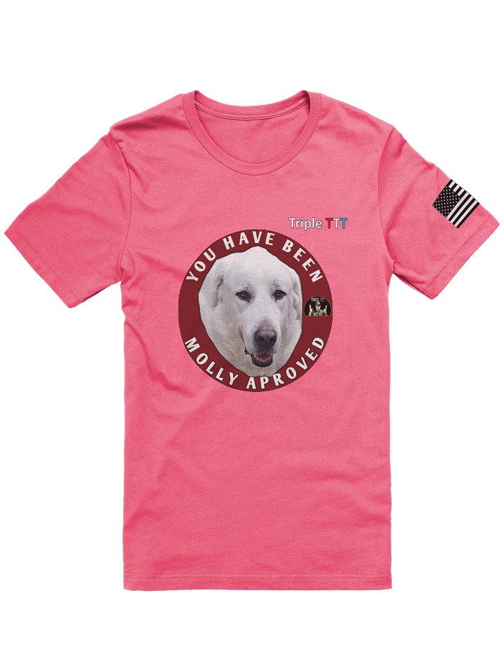 Molly Pink Shirt product image (1)