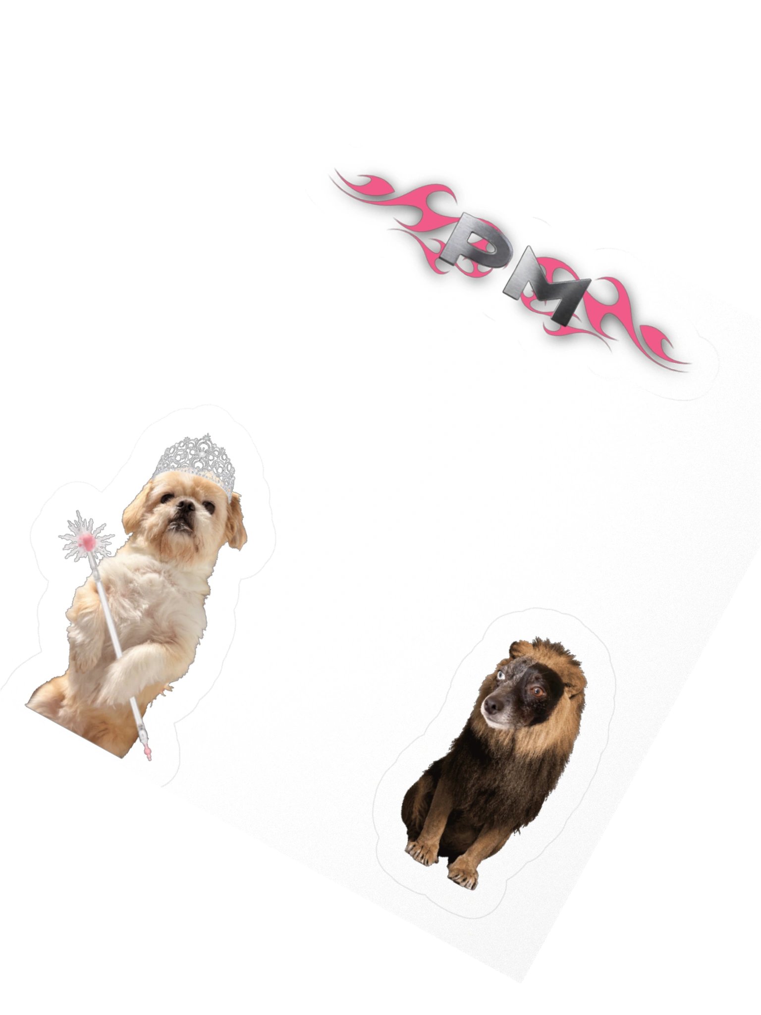 PM-DOG product image (3)