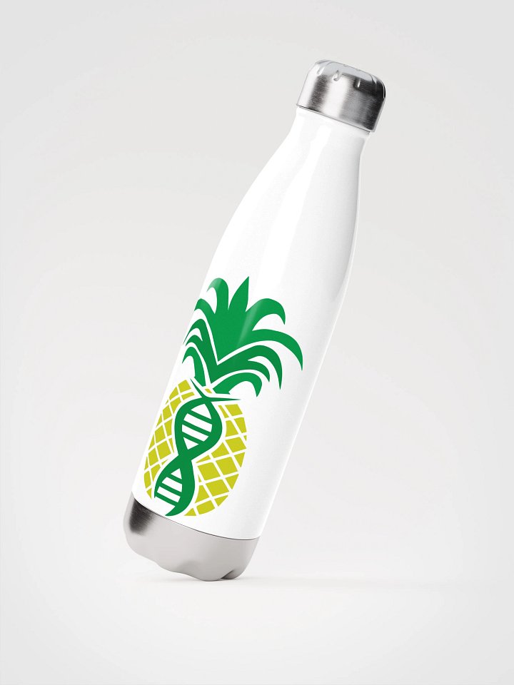 Health Optimization SS water bottle product image (2)